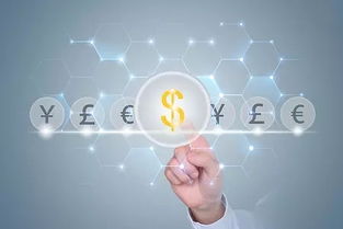 共享经济潮流下，互联网金融与共享单车谁更省心？